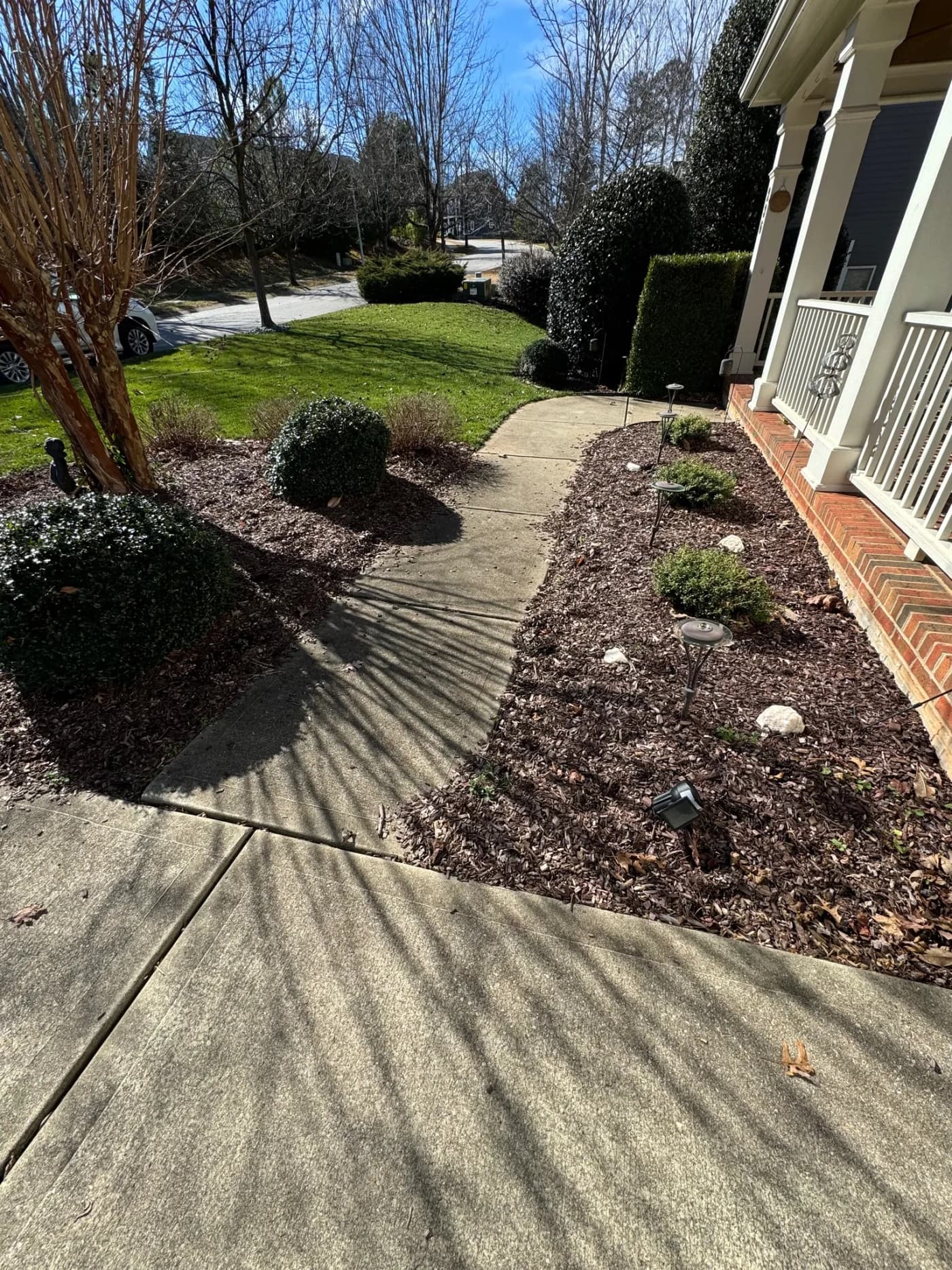 Deck and patio cleaning – algae removed