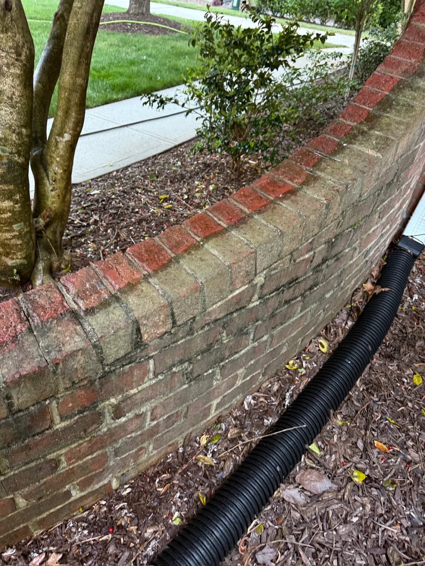 Fence wash – looking new again