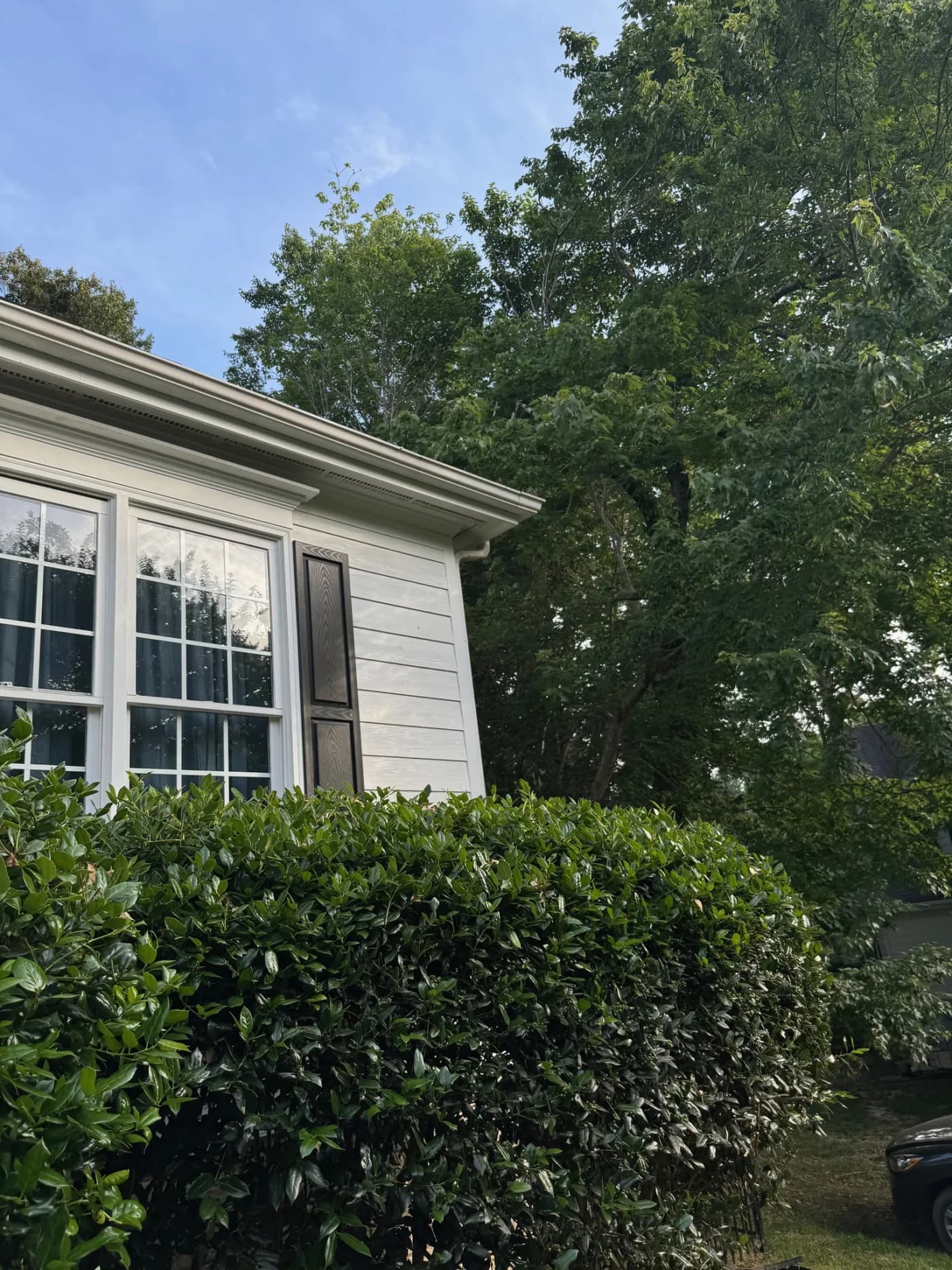 Soft wash service – siding before and after