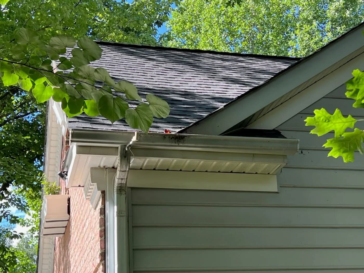 House wash – siding and exterior restored